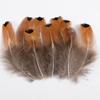 Venta al por mayor del fabricante Plumas Pequeñas de Faisán DIY Tocado de Plumas de Faisán Broche Sombrero Zapatos Artesanías Materiales de Decoración