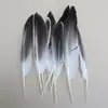 Venda Direta de Fábrica de Quase 100 Tipos de Acessórios Naturais de Penas Pequenas para Joias DIY, Acessórios de Cabeça, Broches, Chapéus, Materiais de Decoração para Artesanato