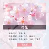 Paquete de Materiales para Velas DIY de Aceite Esencial de Aromaterapia Lámina de Cera Hecha a Mano Difusor de Yeso Fragancia Ligera Fragancia para Hombres y Mujeres