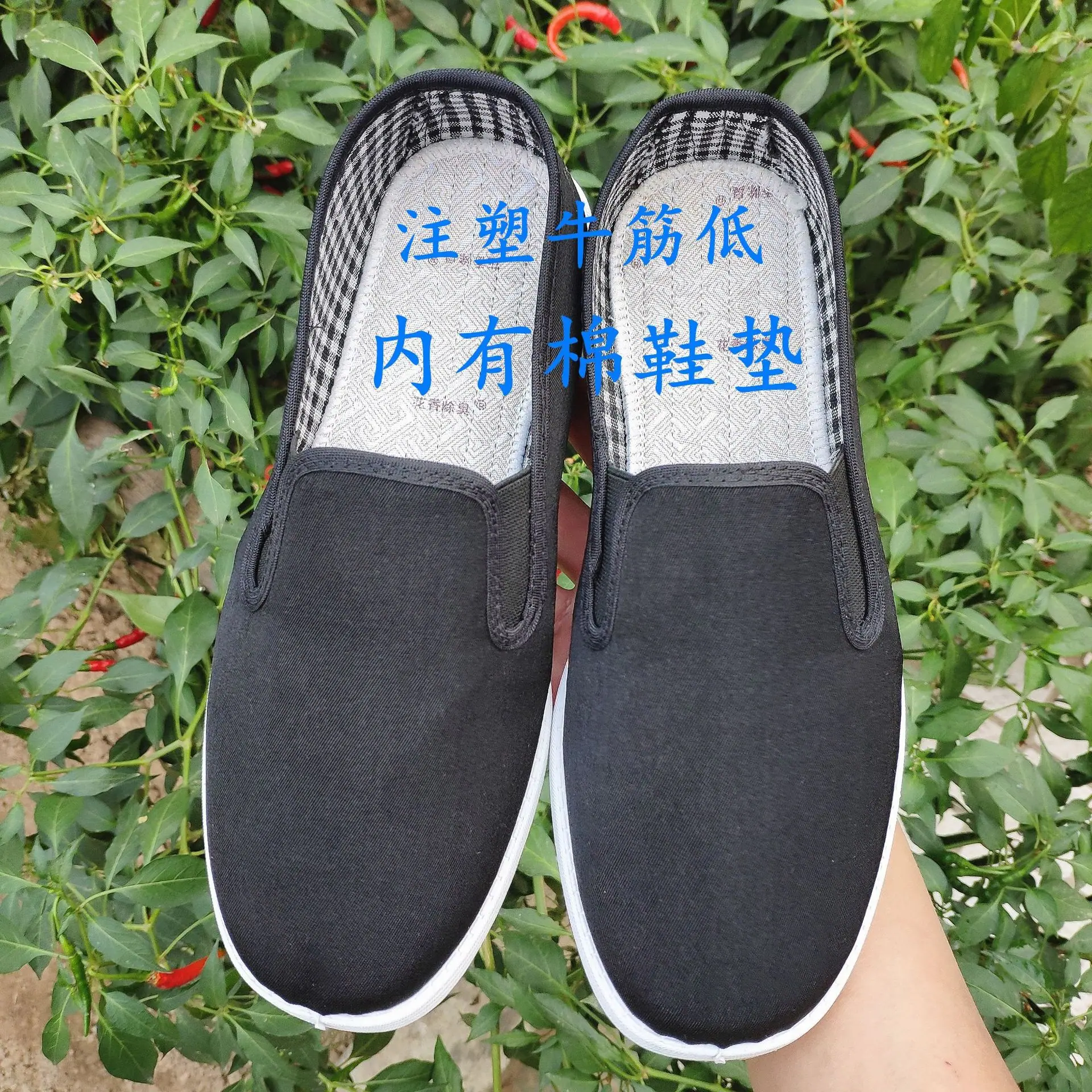 微信图片_20200924150931_副本_副本