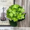 Hortensia Búlgara Individual Simulada Flor Falsa Flor Artificial Terminada Flor de Boda Fila de Piso Flor de Paisajismo Arreglo Floral Adornos