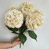 5 Hortênsias Romanas 5 Cabeças de Crisântemo Palco Cerimonial de Casamento Base de Chumbo para Estrada Flor Artificial para Casa Flor Falsa Macia
