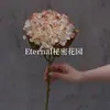 Flores Artificiales, Flores Secas Estilo Wabi-Sabi, Hojas Secas, Frutos de Pipa, Hortensias de Borde Tostado, Materiales Florales Vintage, Frutos de Espino Marítimo, Decoraciones de Mesa, Flores de Seda