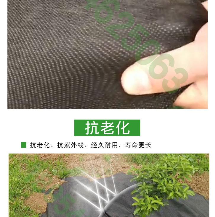 产品特点_04