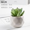 Bonsái de Planta Verde Nórdica Flor Falsa Decoración de Interior Decoración de Escritorio Biónica Suculenta Pequeña Planta en Maceta