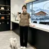 Outono/Inverno 2026 Novo Tricô Solto Patchwork Gola Alta Algodão Colete Feminino Curto Design com Senso Cardigan Colete Peça de Roupa Externa
