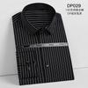 DP prenda sin planchado sin planchado 100 algodón camisa de hombre manga larga color sólido camisa de vestir para negocios