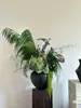 Flores Verdes Eternas, Atmosfera de Primavera, Buquês para Loja, Decoração de Roupas Femininas, Materiais Florais de Galhos Secos, Cena de Arranjo Floral para Recepção