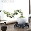 Junho Neve Bonsai Penhasco Flor Vermelha Mesa de Chá Zen Interior Peitoril de Janela Planta Verde Pequena Mesa de Centro de Escritório Planta de Vaso de Mesa