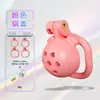 Fábrica de origem, cadeado de castidade masculino SM, dispositivo de castidade em forma de dragão, brinquedo sexual para adultos, design de gaiola para pássaros para evitar fuga, de longa duração