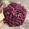 Flor Eterna Folha Pequena Hortênsia Anna Flor Seca Flor Real Estilo Escandinavo Props para Fotos Ins Buquê de Casamento Pronto Decoração