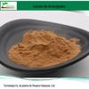Extrato de Atractylodes atractylodes 10:1 atractylodes atractylodes atractylodes extrato de atractylodes atacado em estoque atractylodes pó de raiz de atractylodes atractylodes atractylodes sinensis/extrato de gengibre