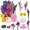 Flores Secas Transfronterizas, Flores Reales, Flores Eternas, Kits de Materiales Hechos a Mano, Velas de Flores Prensadas, Regalos de Navidad DIY, Venta al por Mayor de Fabricantes
