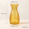 Vaso de Vidro Transparente Simples Ins Bambu da Sorte Hidropônico Arranjador de Flores Rosa Decoração de Mesa para Sala de Estar Casa