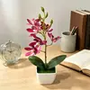 Orquídea Artificial de 6 Flores em Vaso para Decoração de Restaurante e Hotel, Bonsai de Flor Artificial para Cenário de Fotografia, Ornamento de Planta Verde em Vaso