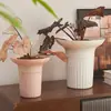 Maceta de Plástico Acampanada para Sala de Estar, Escritorio Sencillo con Anturio Rojo y Planta Verde Árbol del Dinero, Maceta de Falenopsis