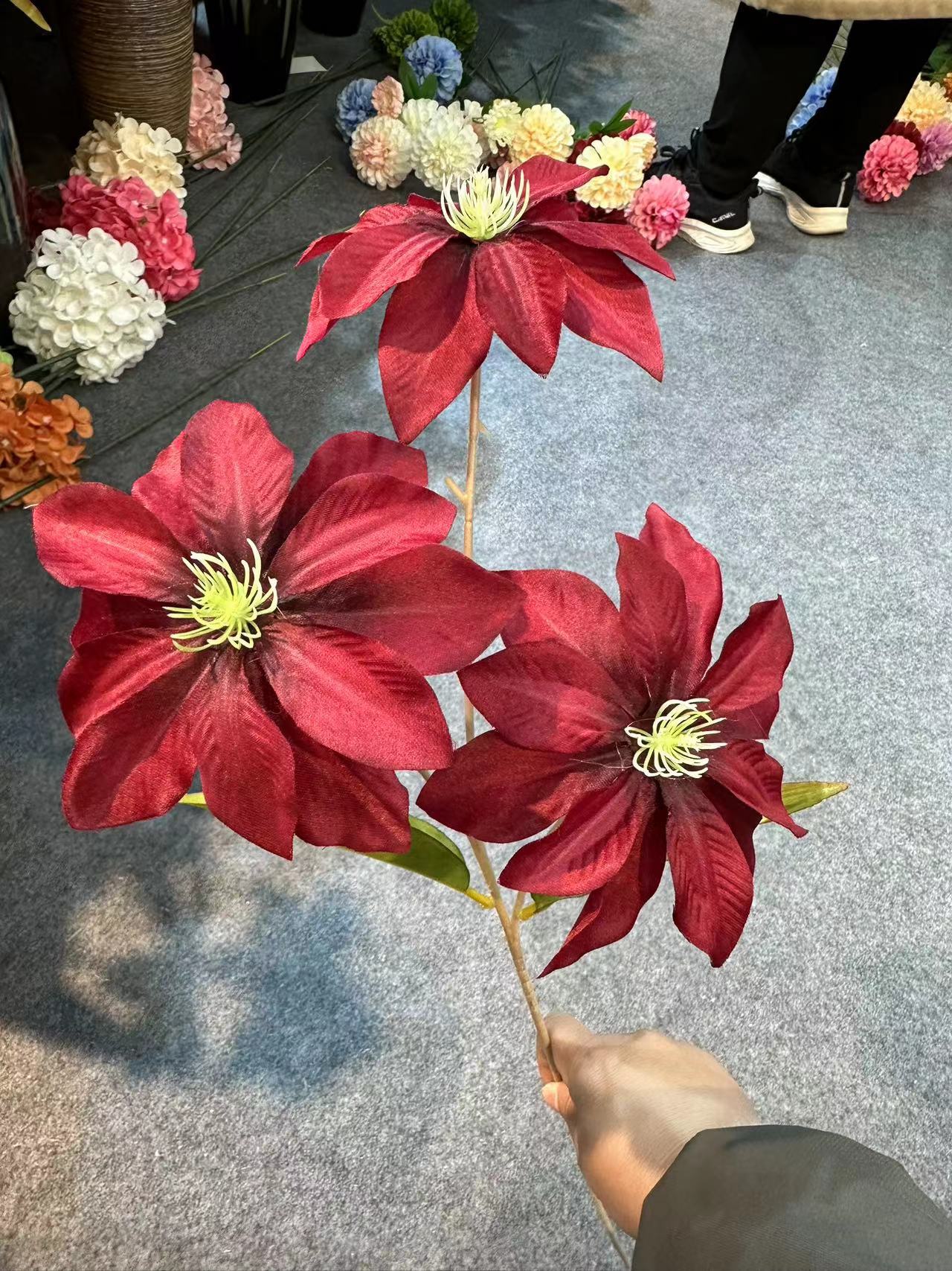 钻石莲红色1