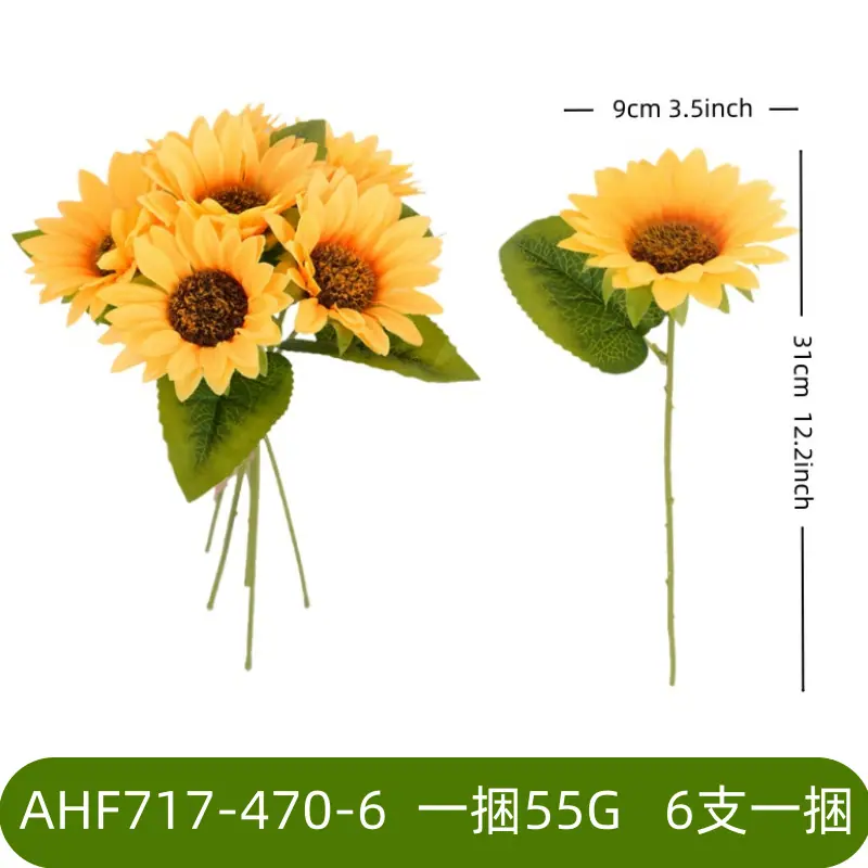 AHF717-470-6