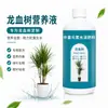 Drácena y Drácena Fertilizante Especial Solución Nutritiva Plantas en Maceta Planta Verde de Interior Fertilizante para Flores Fertilizante Universal de Nitrógeno, Fósforo y Potasio