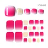 Zhengxiang Nuevo Estilo Pegatinas para Uñas de Pies Dibujos Animados Impermeables Color Brillante Pegatinas para Uñas Celebridad de Internet Pequeña Margarita Pegatinas para Uñas de los Pies