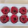 Fabricante de Flores Suministra Directamente Delineador de Ojos Chanson de Borde Negro Cabeza de Rosa Venta al por Mayor Rosa Regalo de San Valentín Flor Inmortal