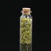 Directamente del fabricante: Piedra Difusora de Aroma Portátil de Grava de Cristal Natural, Botella de los Deseos, Piedra Difusora de Aroma para Aceites Esenciales para Compras y Uso en Interiores