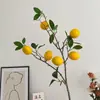 Rama Floral Minimalista con Fruto de Limón Tallo Largo para Sala de Estar Decoración del Hogar Arreglo Floral Decoración