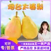 Selección PremiumPera Taipo de Yantai, Shandong, Pera Plátano, Fruta Fresca de Temporada, Pera Esposa, Pera Cerveza Cabeza Grande