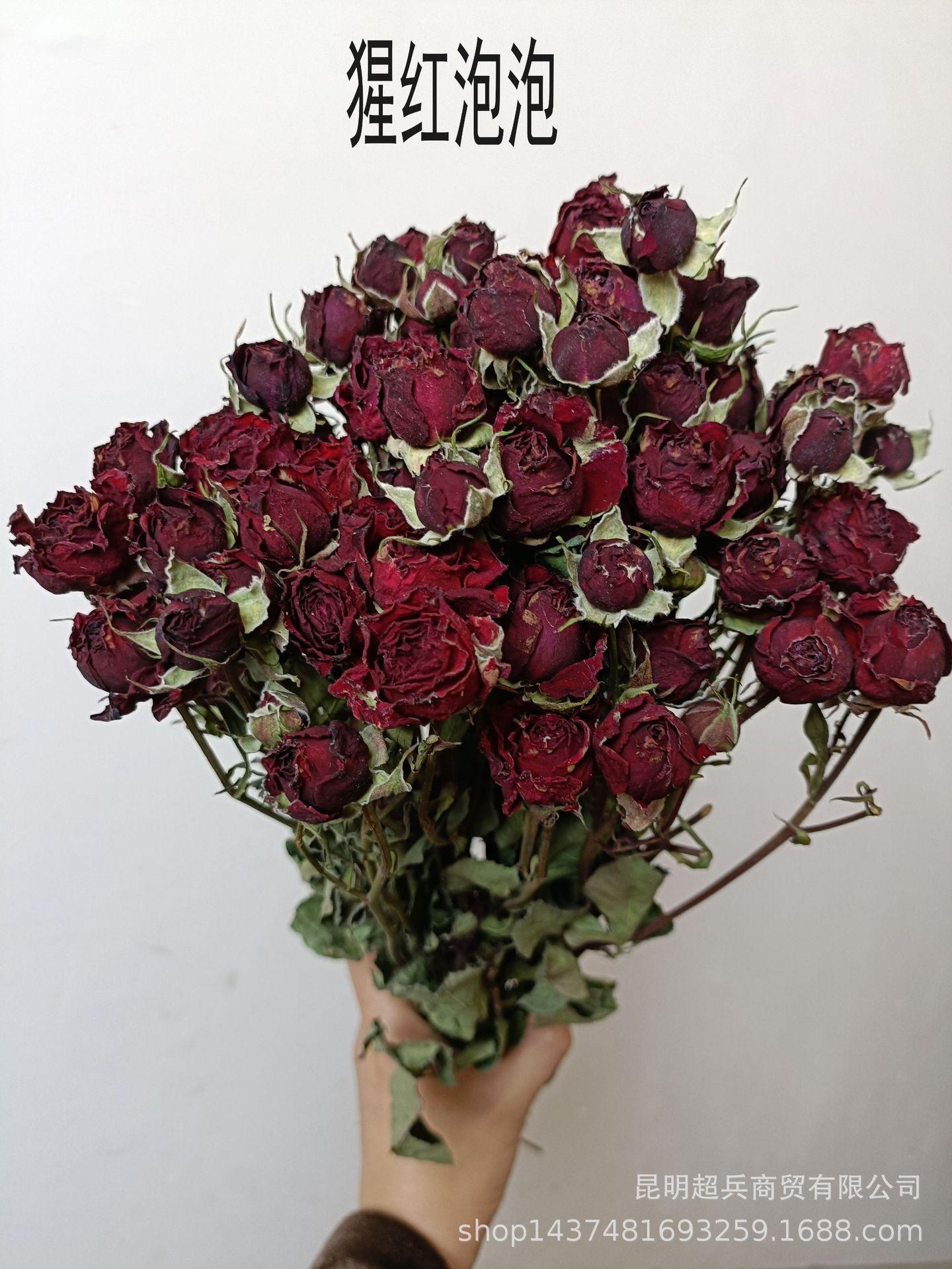 IMG20230417134713.jpg