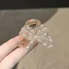 Acessórios de Cabelo de Alta Qualidade, Exquisitos e Modernos, Mini Presilha de Garra com Strass Super Brilhante para Meio Rabo na Parte de Trás da Cabeça, Presilha de Tubarão Piranha Acessório de Cabelo