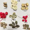 Fruta Fixa Natural Planta Fruta Casca Espécime Material Decoração Flores Secas Fatias Jardim de Infância DIY Pacote de Material de Natal
