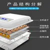 Incubadora Inteligente Totalmente Automática, Incubadora de Huevos Pequeña para el Hogar, Máquina de Eclosión de Pollo, Pato, Ganso, Paloma, Incubadora de Huevos de Pollito
