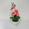 Amazon Flor Artificial Phalaenopsis Bonsái Sesión de Boda Accesorios Planta Verde Decoración de Sala de Estar Flor de Plástico Adornos Bonsái