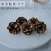 Taza de Cuero Portátil Estilo Nórdico Rollo de Canela Rodaja de Limón Vidrio Decoración del Hogar Estilo Coreano Aromaterapia sin Fuego Material para Manualidades