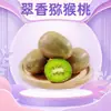 Kiwi Shaanxi Cuixiang - Entrega de 15/16/18/20/24/30 piezas de kiwi de pulpa verde, fruta fresca agridulce
