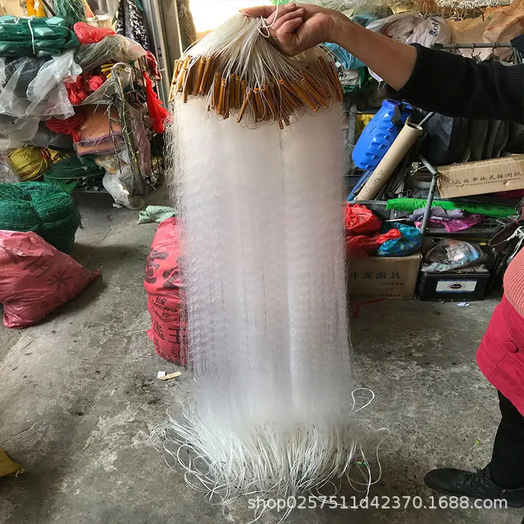 阿里8.jpg
