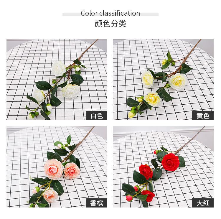 单支茶花_04.jpg