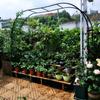 Arco flor rack escalada rack jardim chinês rosa titular clematis verde rosa planta rack ao ar livre flor porta jardim decoração
