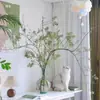 Plantas Hidropónicas, Rosas de Montaña, Arreglos Florales Cortados Frescos, Fáciles de Mantener, Floreros de Flores Secas de Vid de Serpiente del Sur, Estilo Retro de Lujo Ligero
