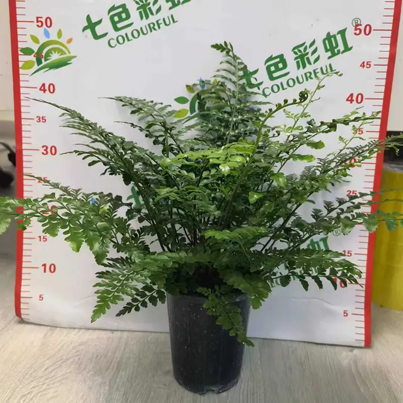 微信图片_20220711103610