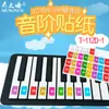 Pegatina de Piano Inglés Comercio Exterior Transfronterizo Combinación de Colores Pegatina de Teclado Inferior 88/61/49 Teclas Espectro Simplificado Grupo de Palabras Universal