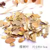 Preescolar Bricolaje Fruta Piña Decoración Natural Flores Secas Materiales Navideños Fruta de Mil Patrones Hecho a Mano