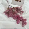 Pelúcia Fruta Pinheiro Gordo Personalizada, Flor Artificial Pinheiro Nebuloso Planta Verde Plástica Flor Artificial Arranjo de Casamento Pó de Flor Margarida Atacado