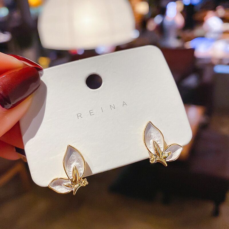 QQ图片20230404092805