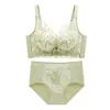 Sujetador Push-Up Pequeño de Encaje Bordado para Mujer, Grande Push-Up Anticaída, Reductor de Senos, Juego de Sujetadores sin Aros