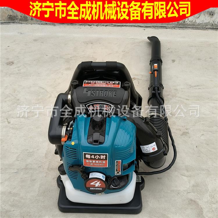 9900 (7).jpg