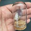 Adornos de cristal mineral de roca natural en bruto, regalo educativo de ciencias para niños, colección de muestras de mineral
