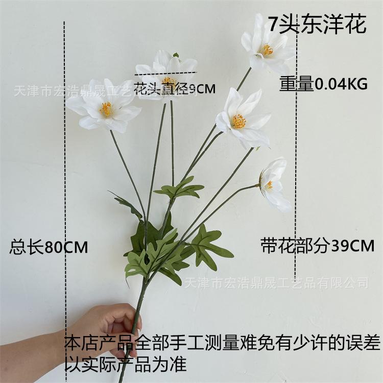 2b47e5f85dfeb9db5e0fd7a60c2392