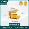 Enchufe a Prueba de Explosiones de Rosca Hexagonal Exterior de Cobre de 4 Puntos Cable Enchufe Tapa de Enchufe de 6 Puntos Tapón de Tubería de Pared de 1 Pulgada con Diente Interior Tapa para Tubería de Agua