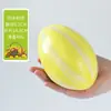 Modelo de Fruta y Verdura de Simulación Adorno de Manzana de Plástico Pitahaya Mango Fruta Biónica Falsa Decoración Accesorios de Exhibición